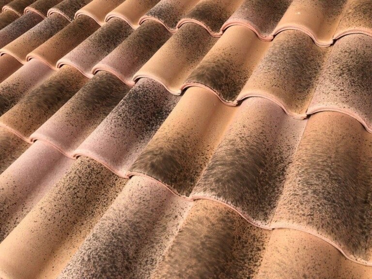Mixed Castell Roof Tile Image 3